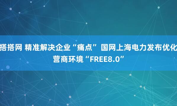 搭搭网 精准解决企业“痛点” 国网上海电力发布优化营商环境“FREE8.0”