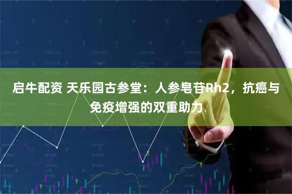 启牛配资 天乐园古参堂：人参皂苷Rh2，抗癌与免疫增强的双重助力