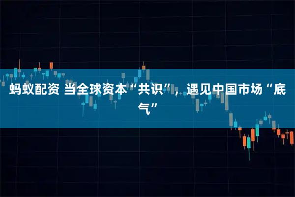 蚂蚁配资 当全球资本“共识”，遇见中国市场“底气”